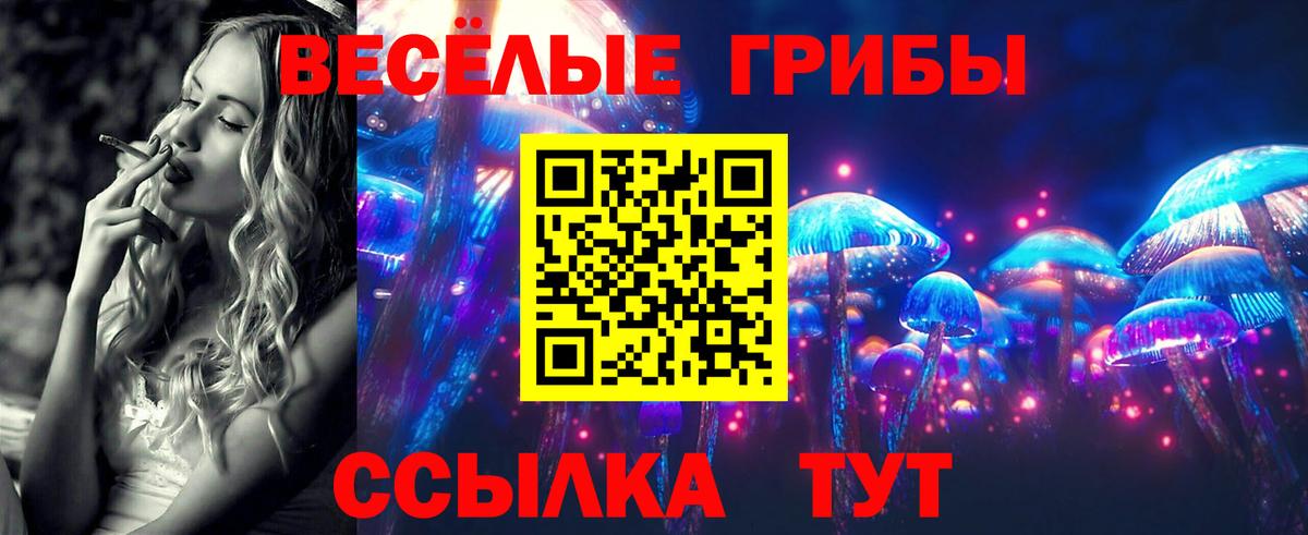 Галлюциногенные грибы GOLDEN TEACHER  где можно купить наркотик  Вход с VPN  Кувандык  Галлюциногенные грибы мицелий 
